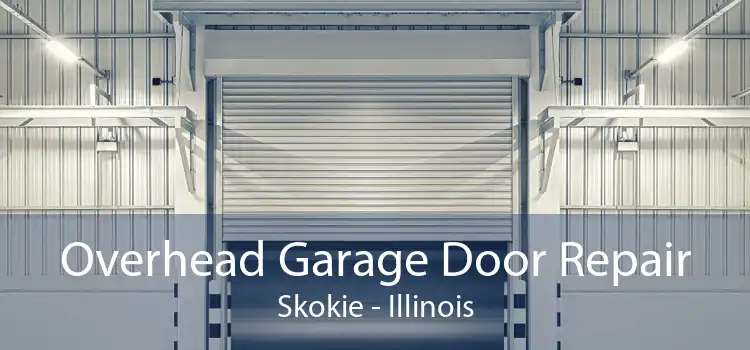 Overhead Garage Door Repair Skokie - Illinois