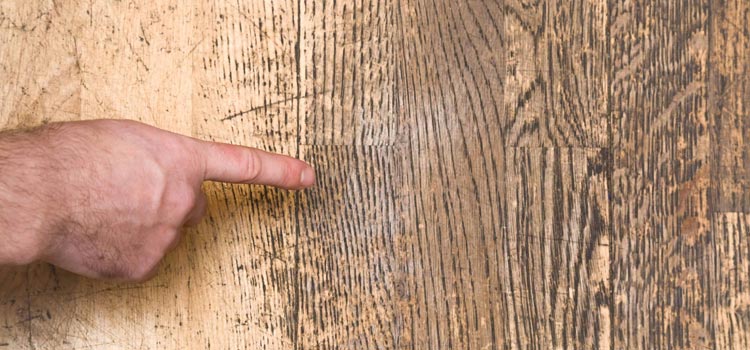 Wood Door Scratch Repair in Evanston, IL